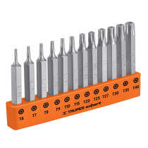 Juego de 12 puntas torx combinadas c/seguro largo 2", Expert